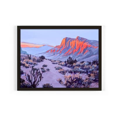 Desert sunset