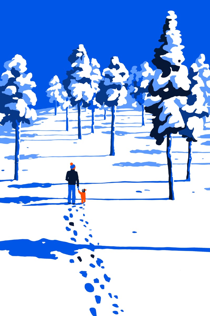 Forest walk